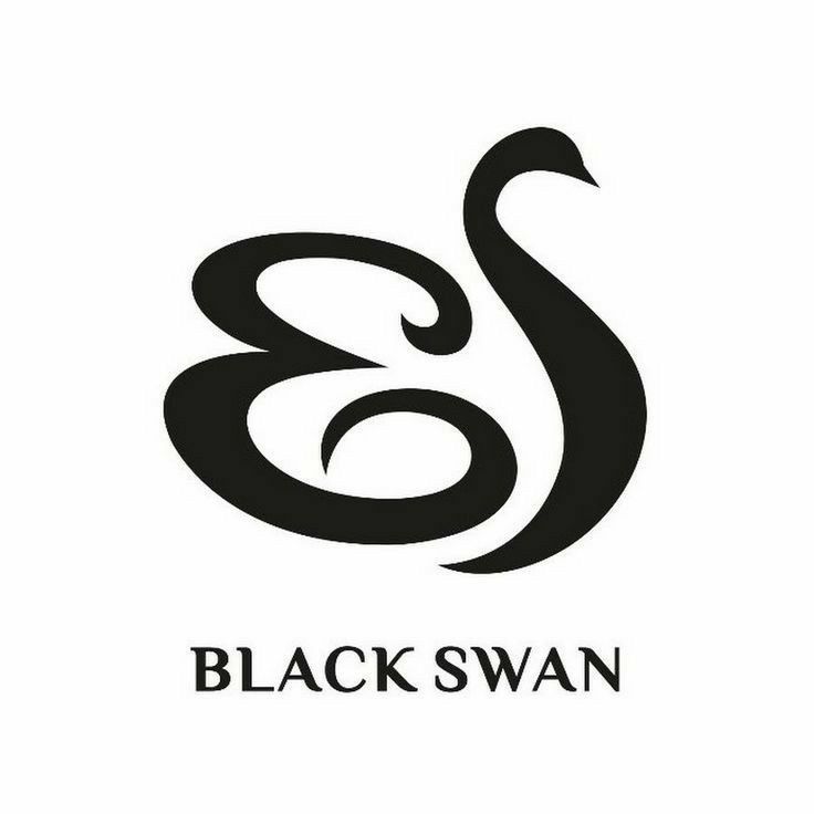 BLACKSWAN Is NOT Nugu—They’re Just Neglected