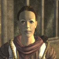 The Unforgiven - A New Vegas Western