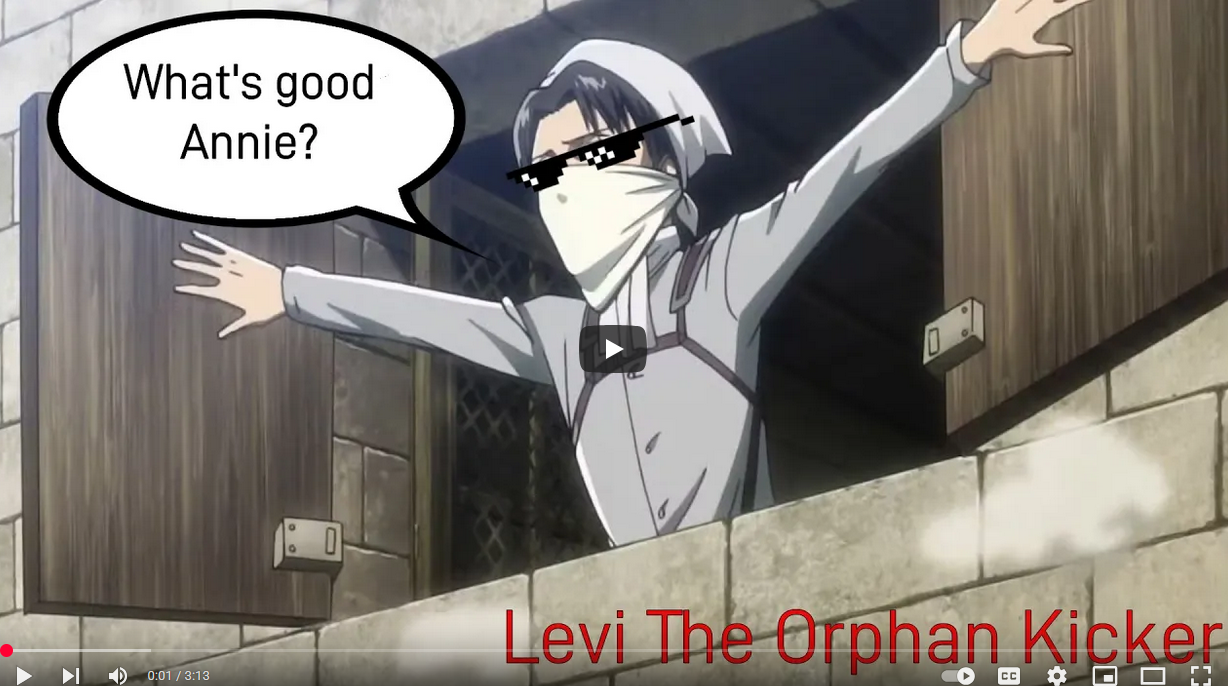 Levi's Therapy Session