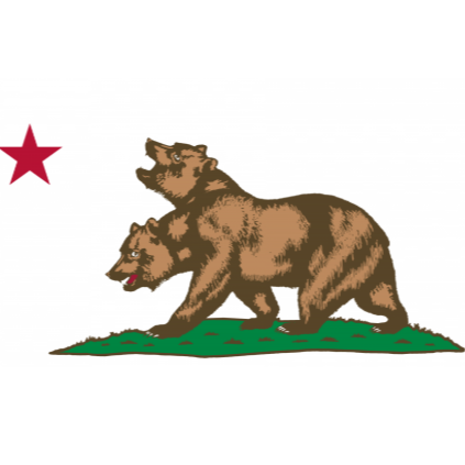 Fallout: The Republic's Finest (Episode 1)