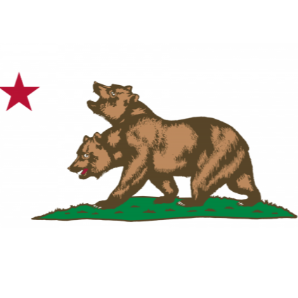 Fallout: The Republic's Finest (Series)