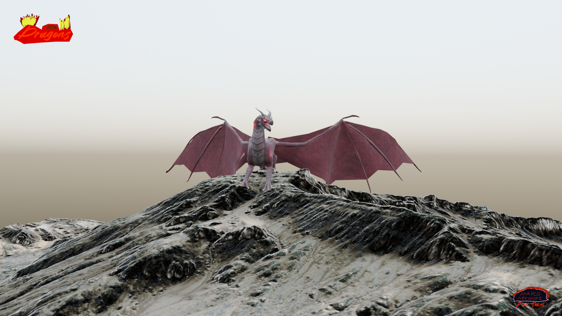 Marco Network's Dragons