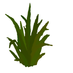 SussyPlayer69 ( MELB-BASED )