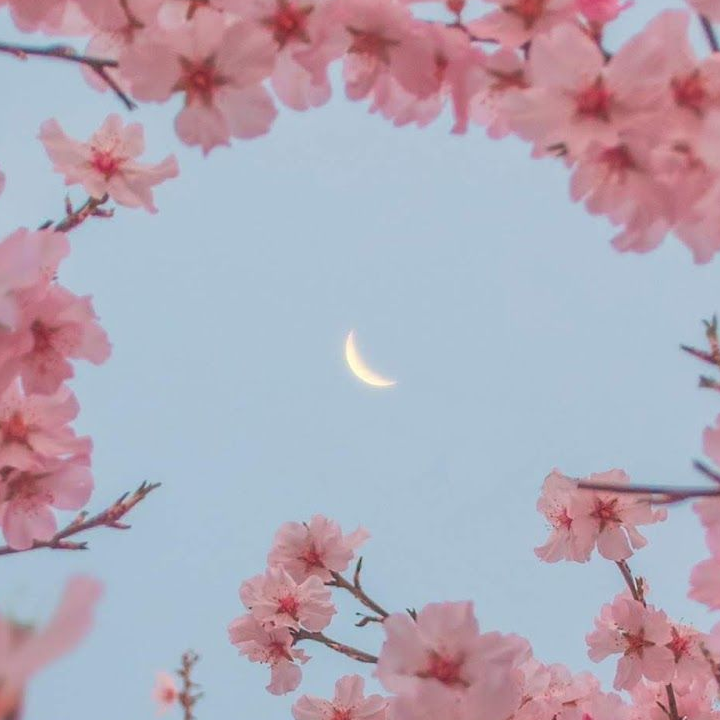 ✧Fallen Ai☾ - Virtual Idol Group