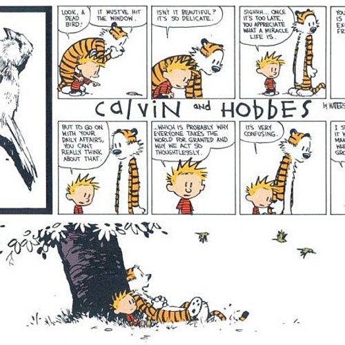 Hobbes