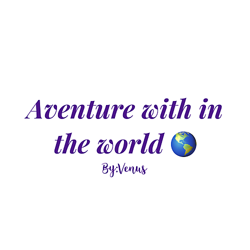 Artist /(CLOSED BUT NEED MORE)