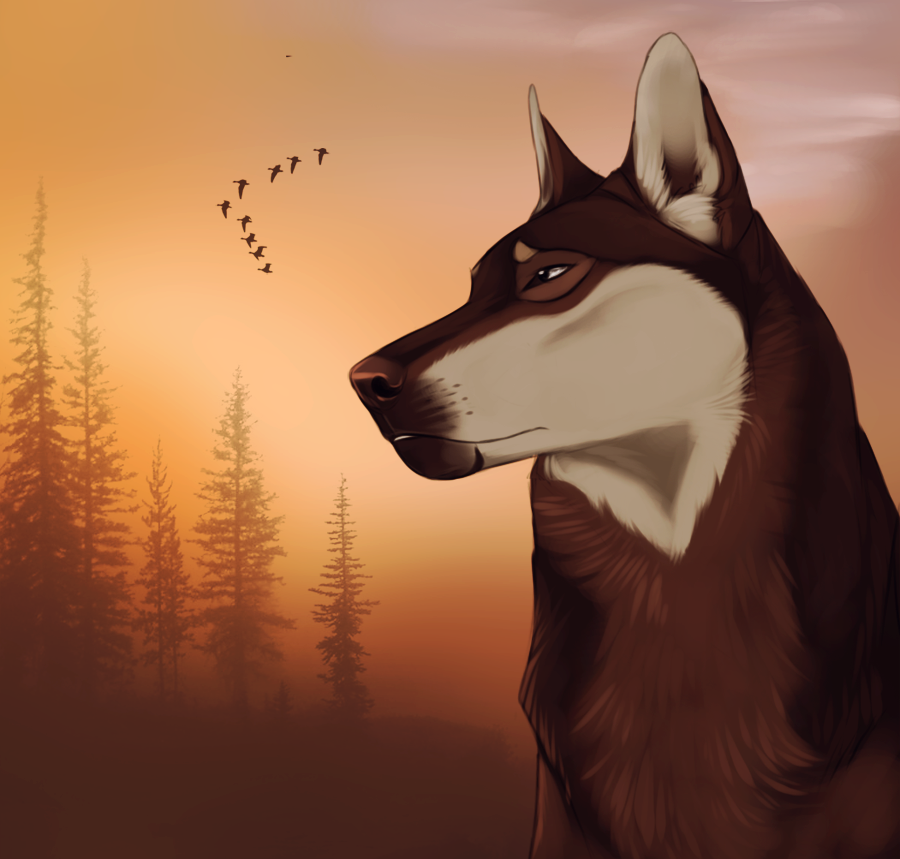 Home Scene Animation