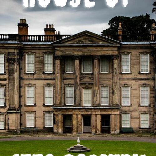 Mysterious Person   (Male/Female Voice Any Accent with a creepy tone)