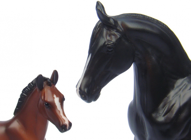 Nightmare Shadows Repost