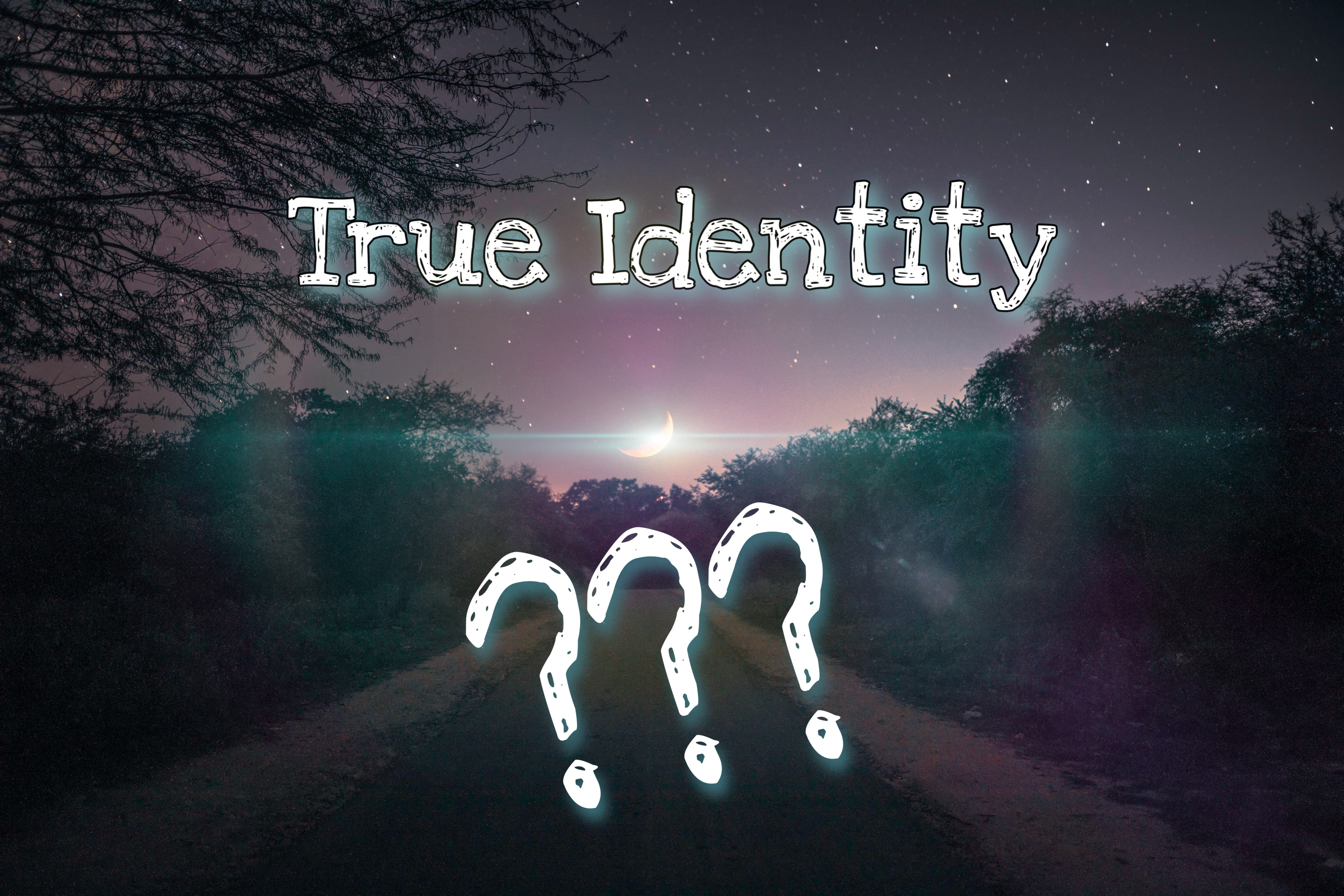 True identity (Minecraft Roleplay Series)