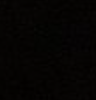 Project Hollow ARG: Owl