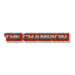 The Champion (A Roblox Superhero Animated Movie)