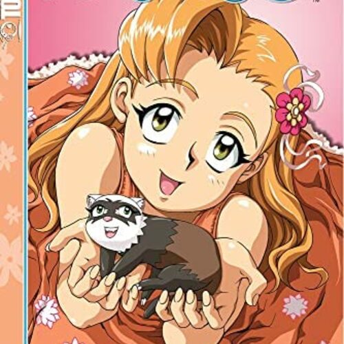 Mushroom Valley Animal Clinic Vet