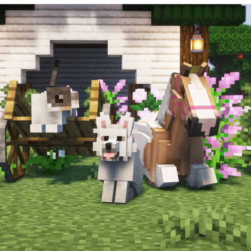 The Oasis Valley Ranch: Episode 2-4