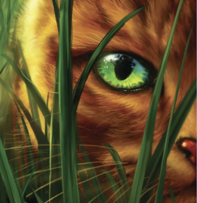 Warriors: Into the wild (chapter 1) | Casting Call Club