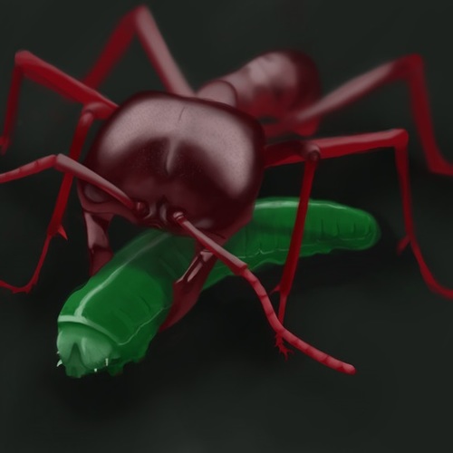 Nature Documentary Narrator