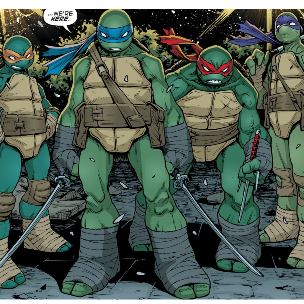 IDW TMNT - Guided View Dub