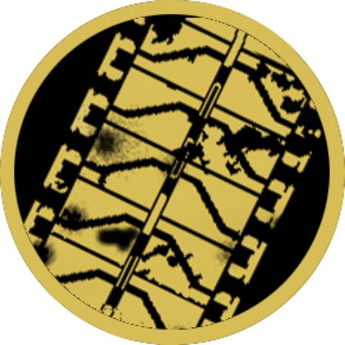 Documentary Narrator