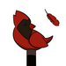 A Glimpse of Crimson Feathers: A Fanmade Prequel of The Owl House (Script Phase)