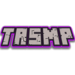 Musician/composer for TRSMP