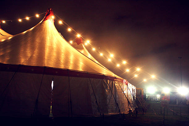 The Paramnesia Circus: Animated Series