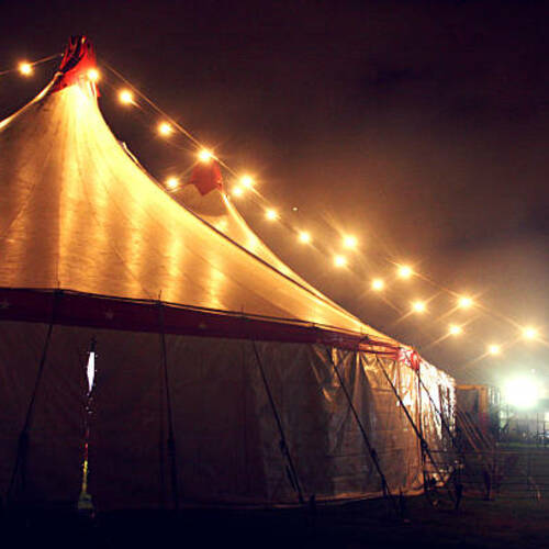 Voice Actor - Blade Festive