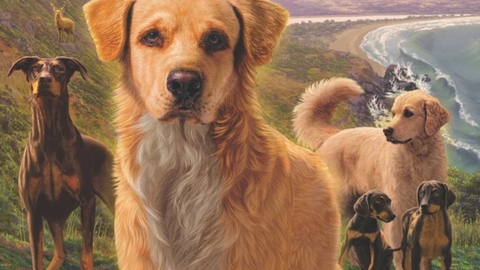 VOICE ACTORS NEEDED!! Survivors: animated series | Casting Call Club