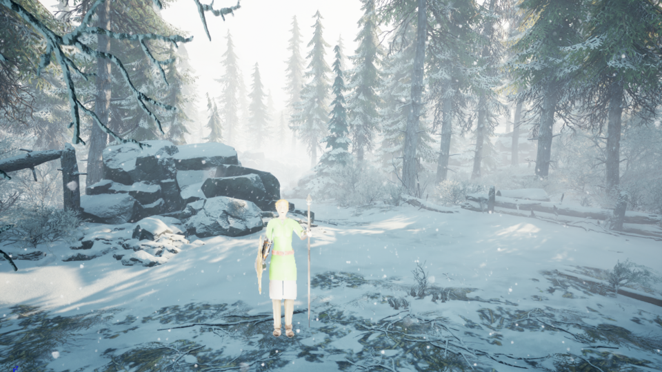 Bjorn Breiðvíkingakappi