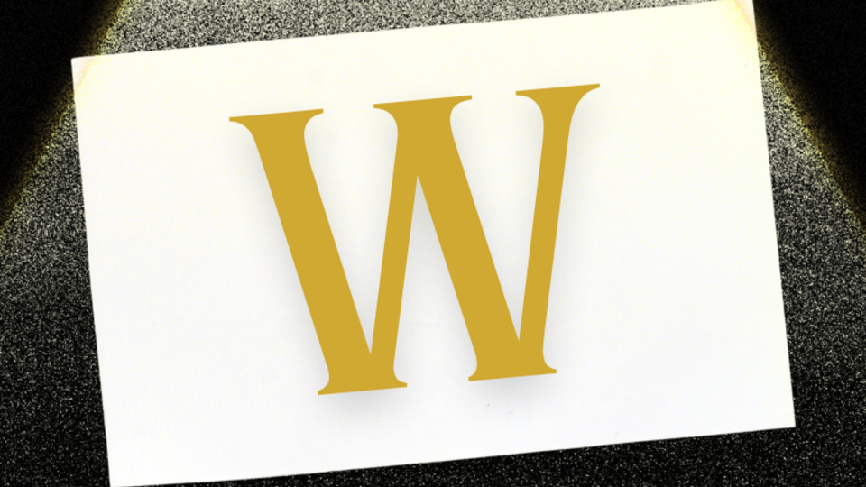 Knuckles The Echidna