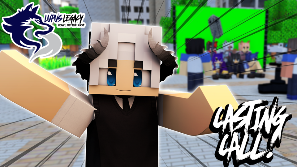 News reporter / journalist 