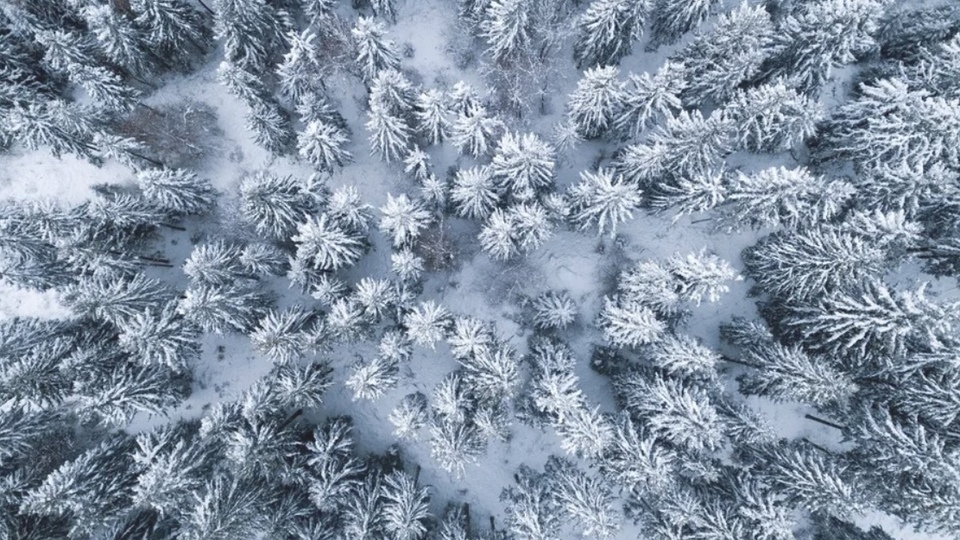 Charles Sullivan (Secondary)