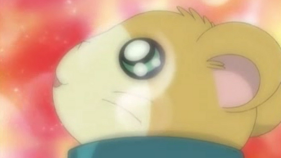 Hamtaro