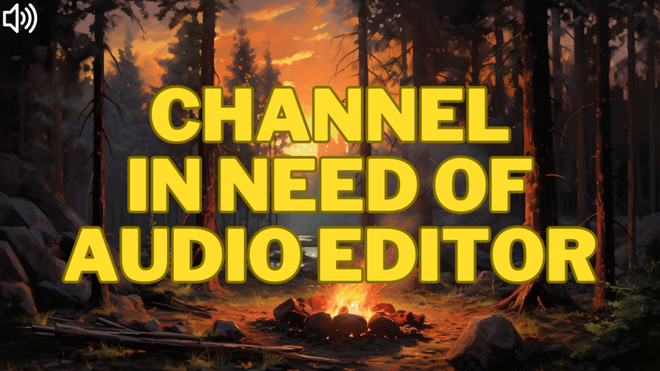 Audio Engineer / Audio Editor