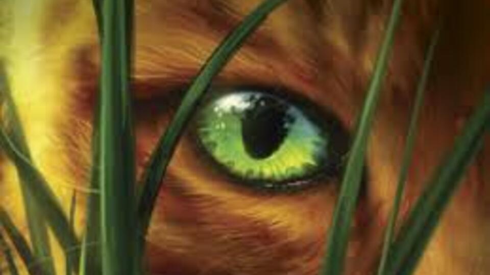 Coeur de Lion (Backup)