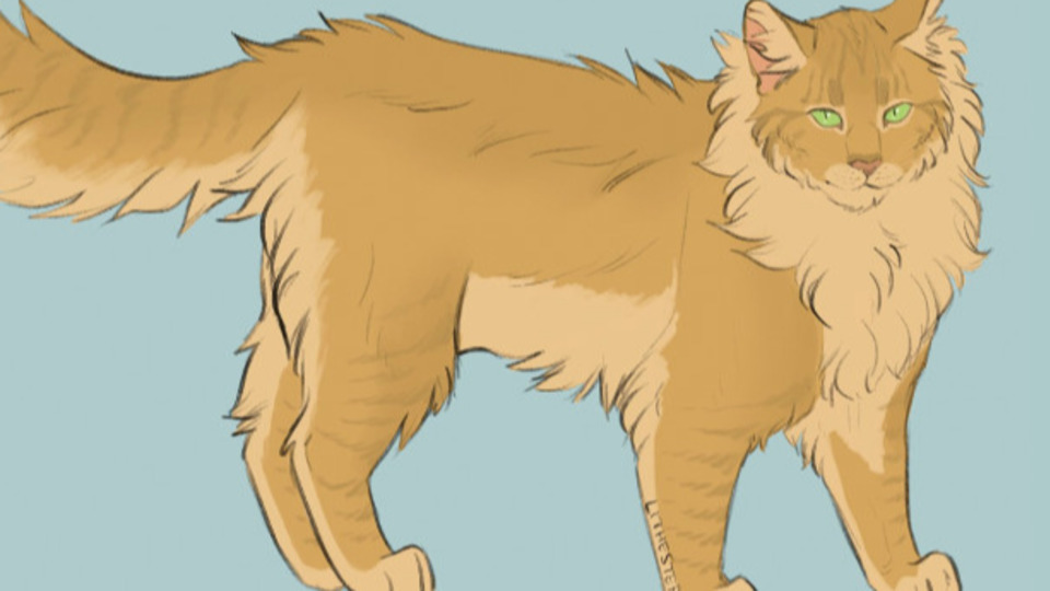 Warrior cats casting for Lionheart