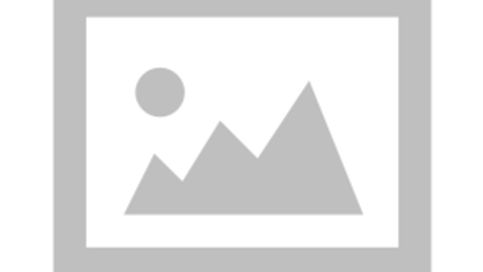 Voice Actor - Harvey