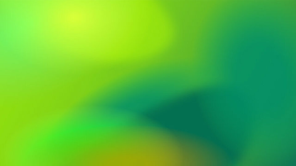 Featured Guest Role (Guest Lineup)