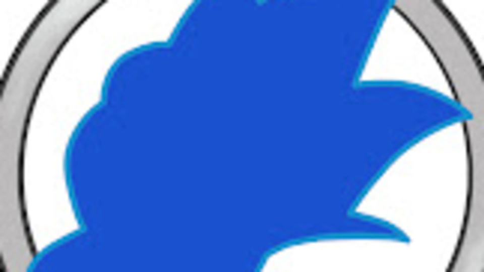 Knuckles the Echidna