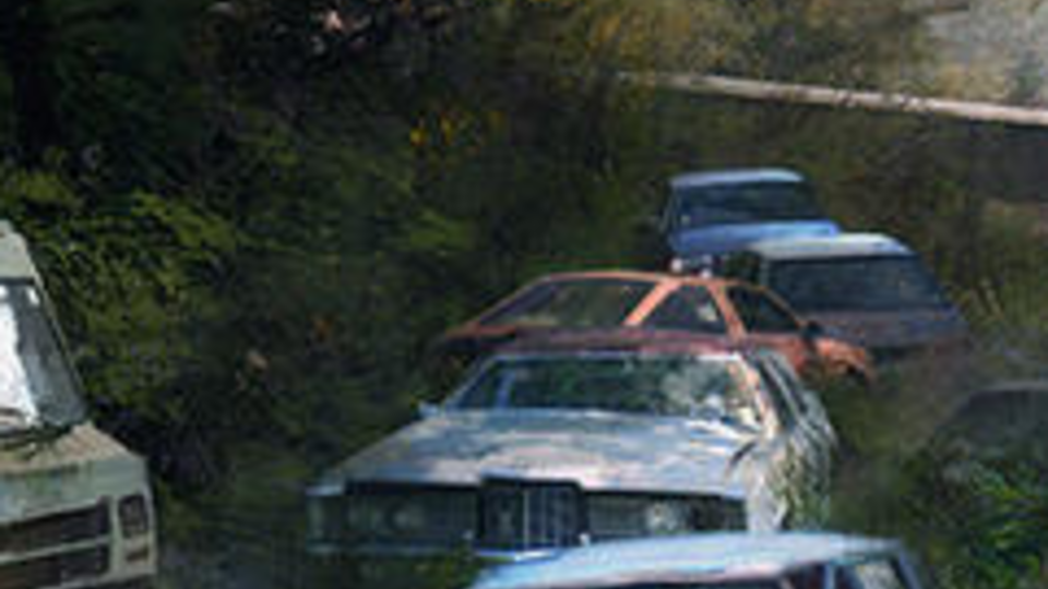 Writer - Dialog & Advertisements Writer