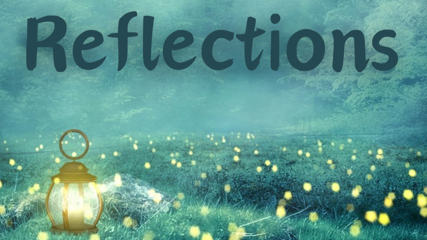 Pilot Episode - Reflections