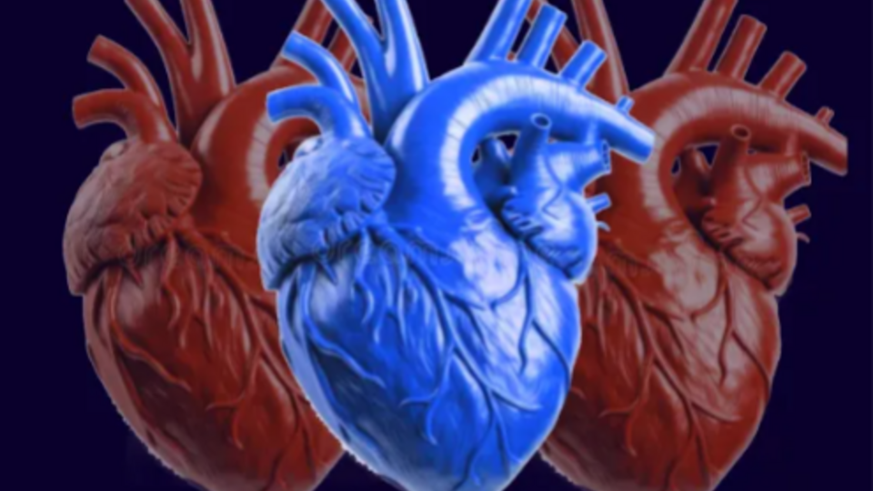 Artemis "Misty" Rivera (04)