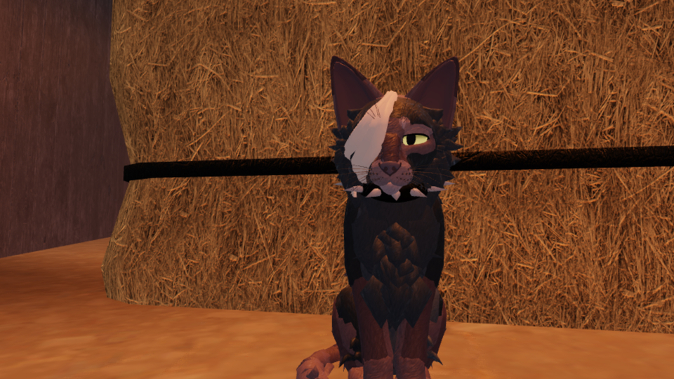 Warrior cats fanfiction casting call