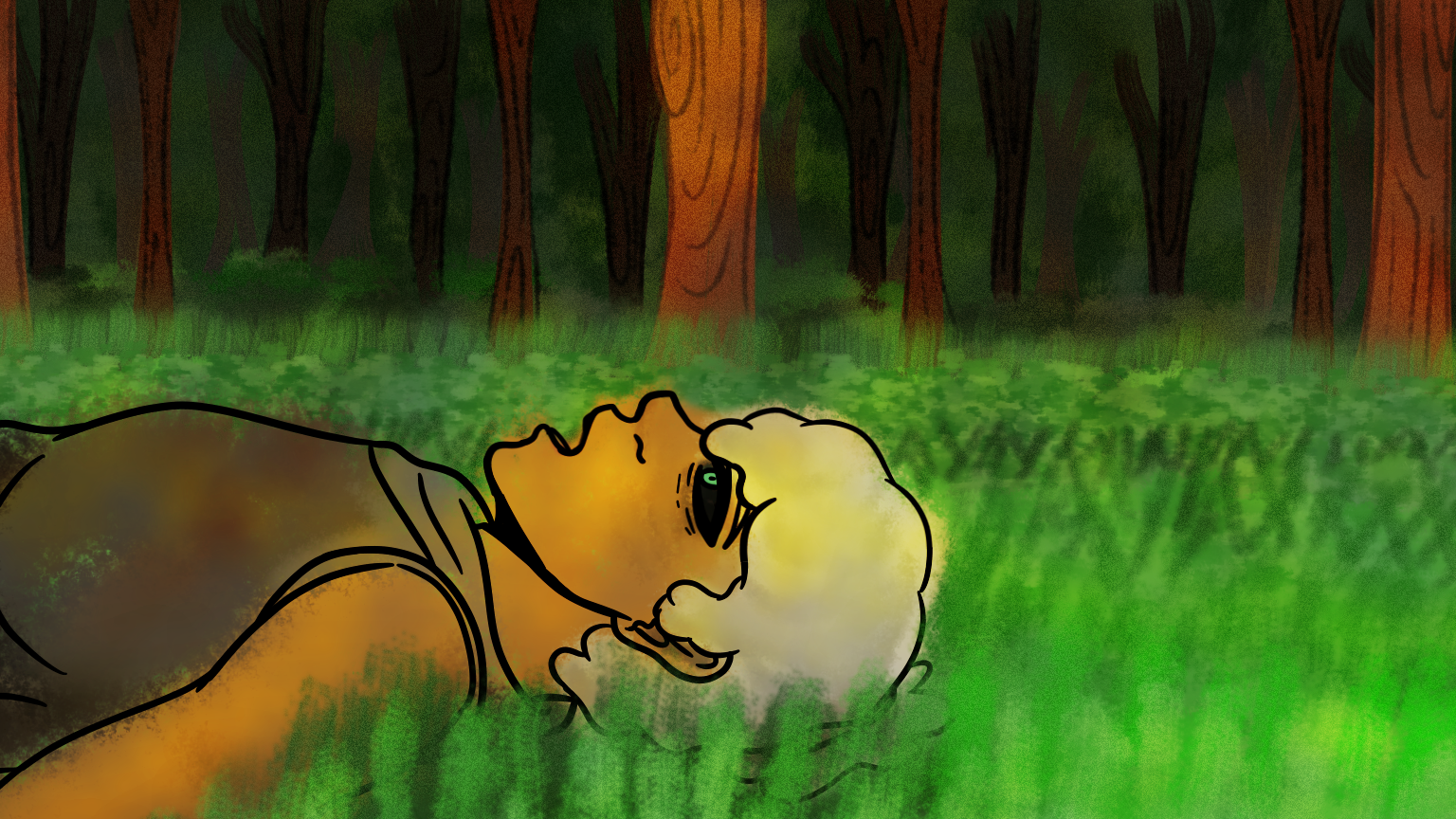 The First Encounter: A senior Animation Film