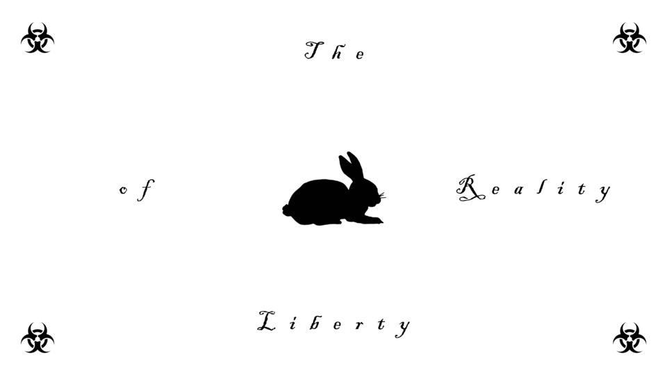 The Liberty of Reality - A Visual Audiobook