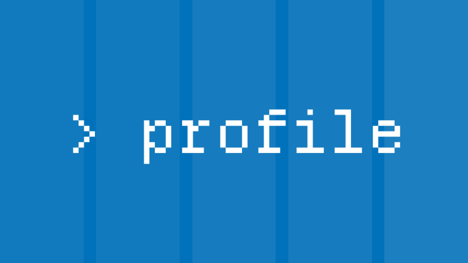 >_ profile (visual novel anthology)