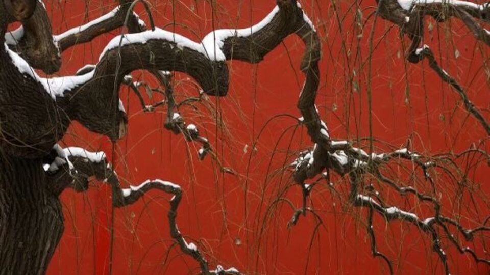 Kritik Katzic - MAIN