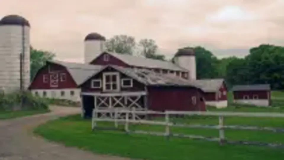 Behavior's Barnyard| Analog Horror pt2