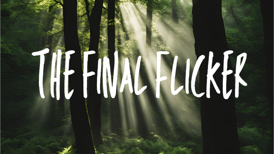 Voice Actor for King Ambrose