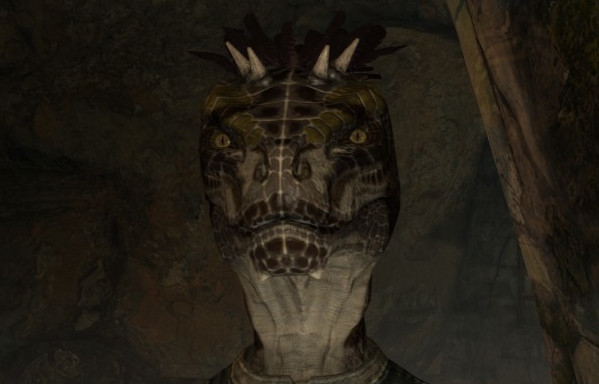 Skyrim Follower: Takes-In-Light