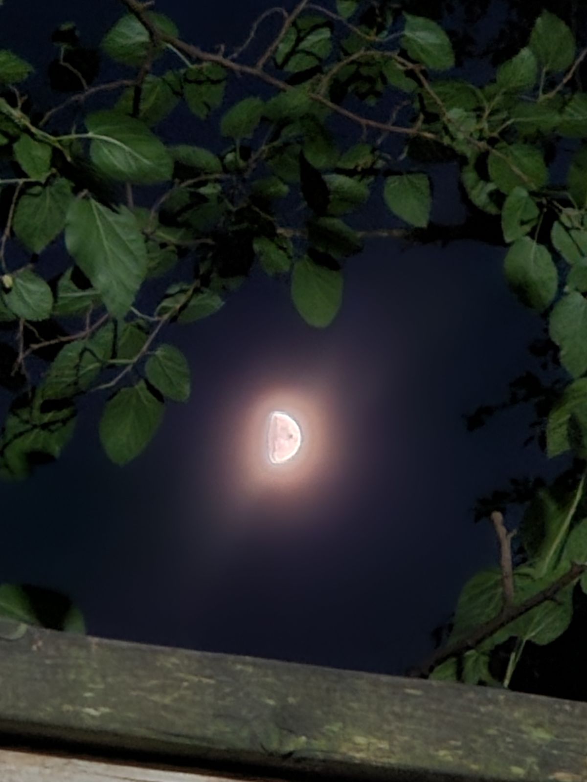 Backup Narrator Audition - The Elements Within